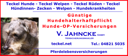 Teckel-Hunde